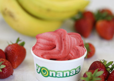 Yonanas Strawberry Banana blend