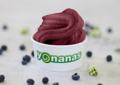 Yonanas Blueberry Peach Banana blend