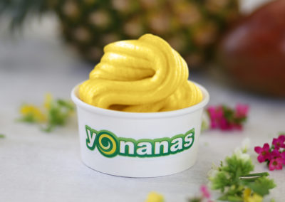 Yonanas Pineapple Mango blend